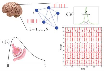 Next generation neural population models